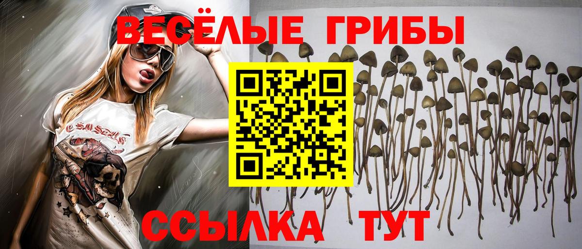 Екатеринбург  Псилоцибиновые грибы GOLDEN TEACHER  Вход с VPN 